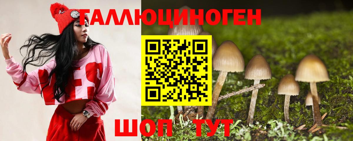 Галлюциногенные грибы прущие грибы  Вход с VPN  Старая Купавна 